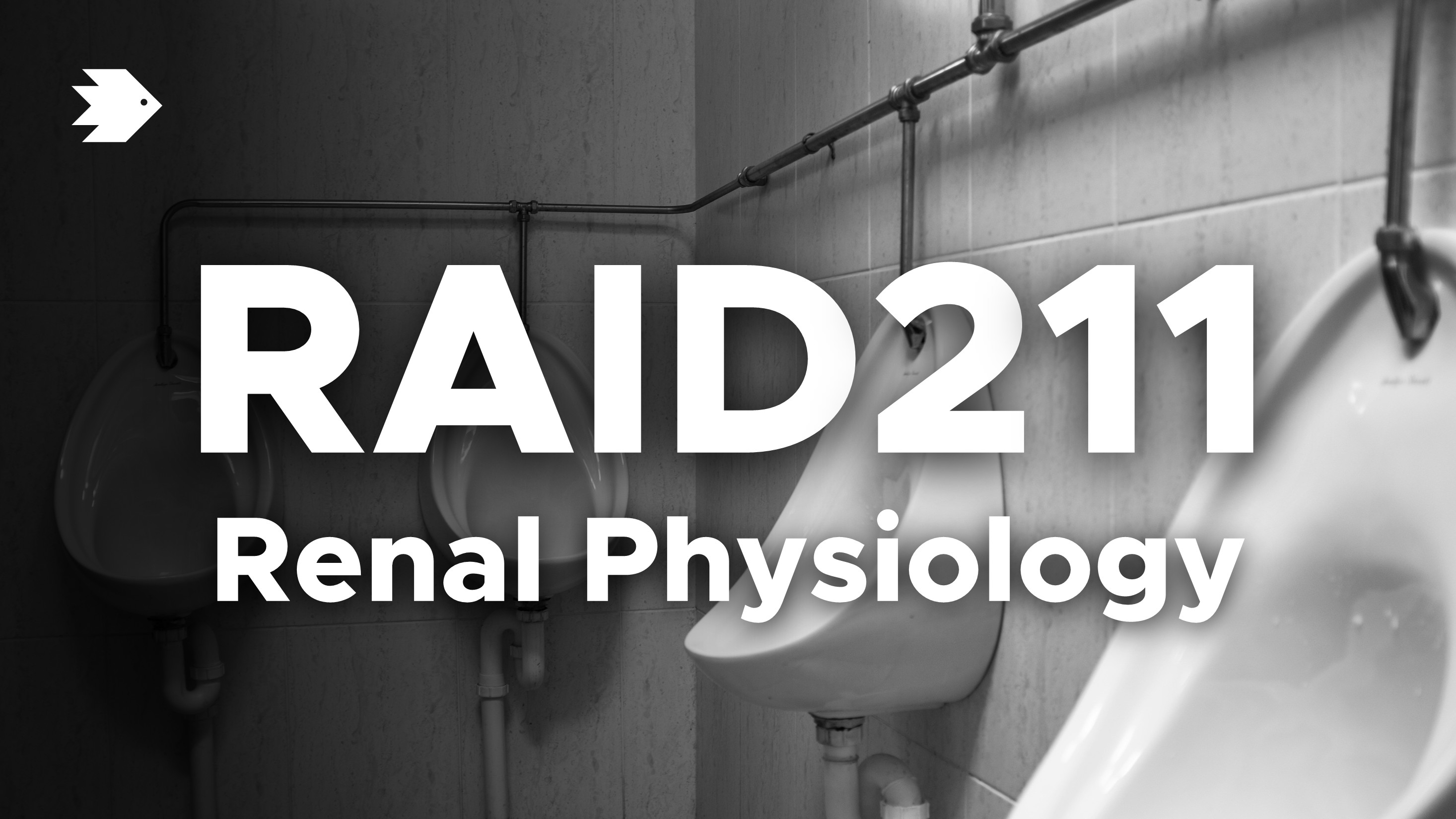 Renal Physiology