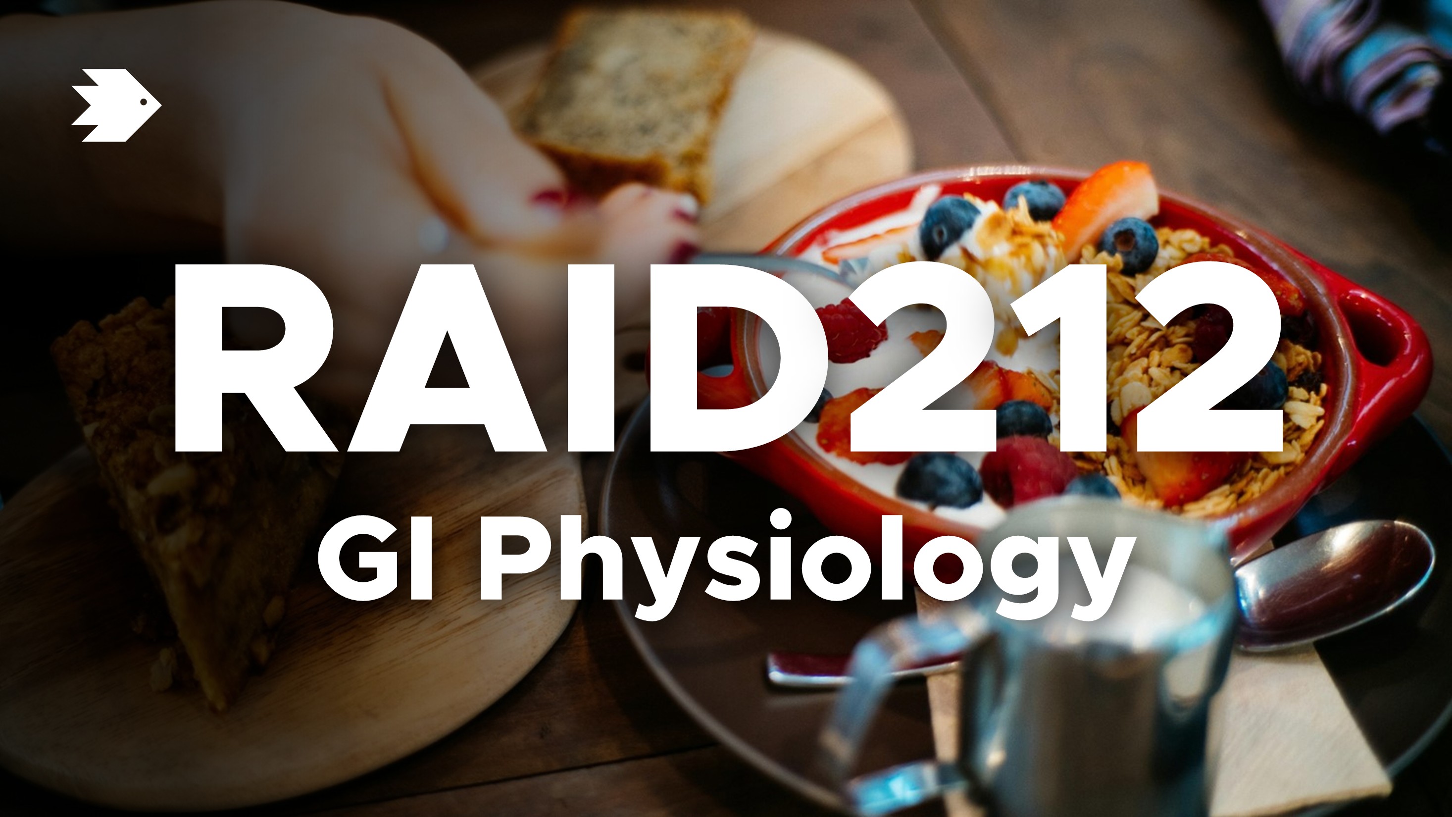 GI Physiology