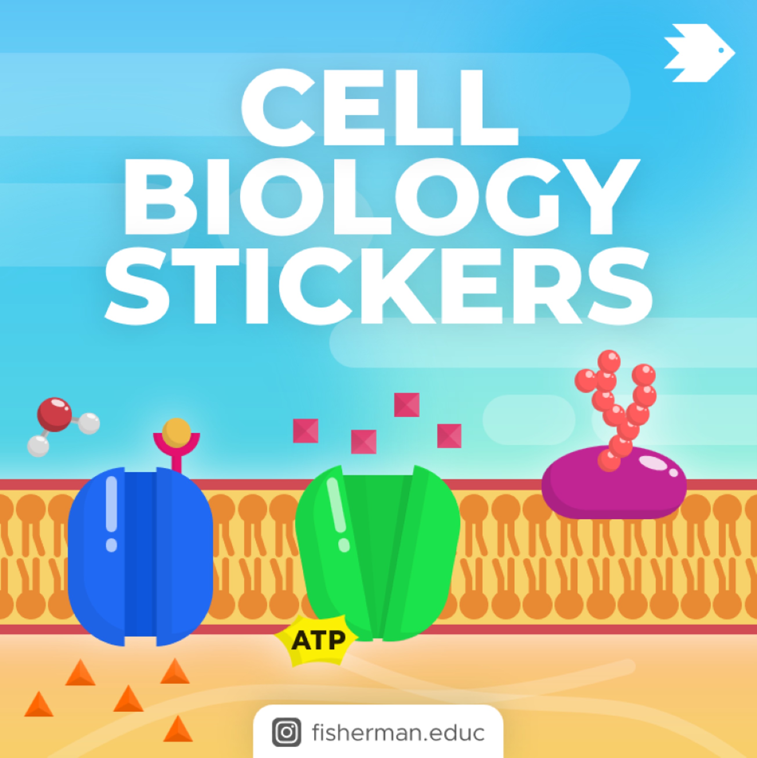 Cell Biology Stickers